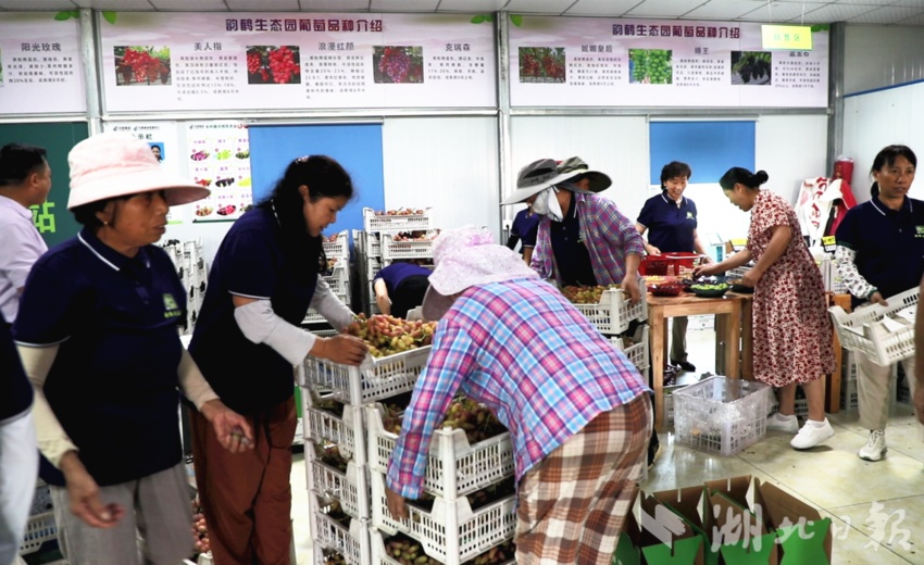 澳门赌场游戏